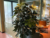 Kunstplant met pot - afbeelding 2 van  3
