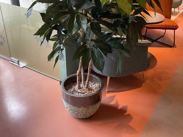 Kunstplant met pot - afbeelding 3 van  3