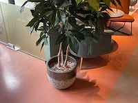 Kunstplant met pot - afbeelding 3 van  3