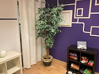 Kunstplant met pot - afbeelding 2 van  2
