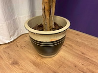 Kunstplant met pot - afbeelding 1 van  2