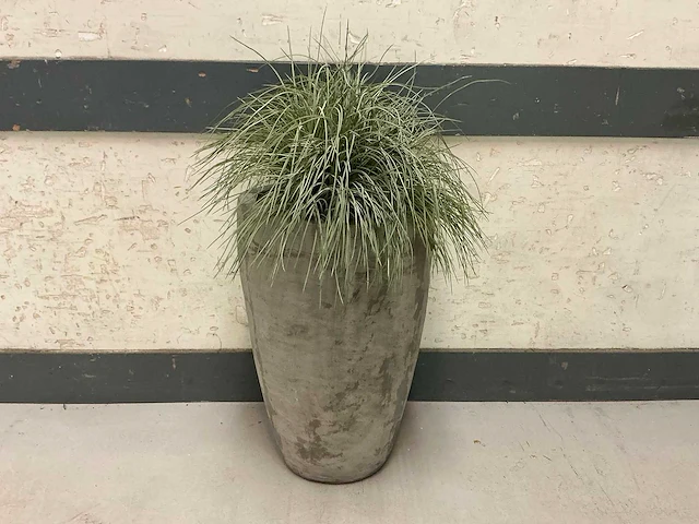Kunstplant met pot - afbeelding 1 van  3