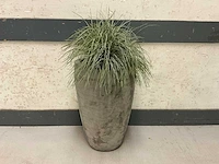 Kunstplant met pot