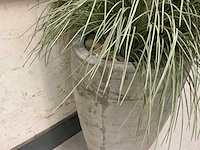 Kunstplant met pot - afbeelding 3 van  3