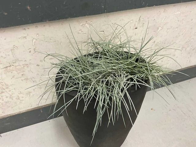 Kunstplant met pot - afbeelding 2 van  3