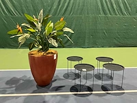 Kunstplant met pot - afbeelding 2 van  5
