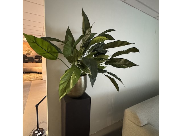 Kunstplant op sokkel colours&green, spathiphyllum - afbeelding 2 van  5