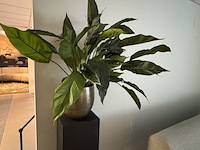 Kunstplant op sokkel colours&green, spathiphyllum - afbeelding 2 van  5