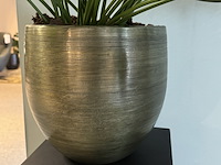 Kunstplant op sokkel colours&green, spathiphyllum - afbeelding 4 van  5