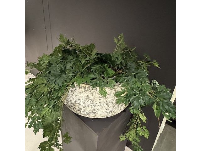 Kunstplant op sokkel - afbeelding 4 van  4