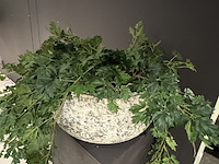 Kunstplant op sokkel - afbeelding 4 van  4