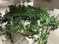 Kunstplant op sokkel - afbeelding 3 van  4