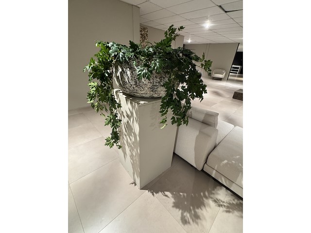 Kunstplant op sokkel - afbeelding 4 van  4