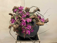 Kunstplant orchidee met pot - afbeelding 5 van  5