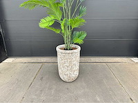 Kunstplant palm met pot - afbeelding 3 van  9