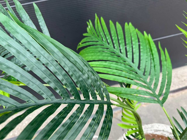 Kunstplant palm met pot - afbeelding 7 van  9