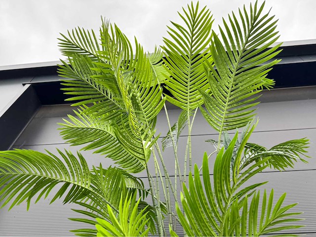 Kunstplant palm met pot - afbeelding 8 van  9