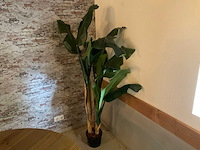 Kunstplant - afbeelding 1 van  1
