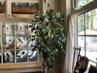 Kunstplant - afbeelding 3 van  6