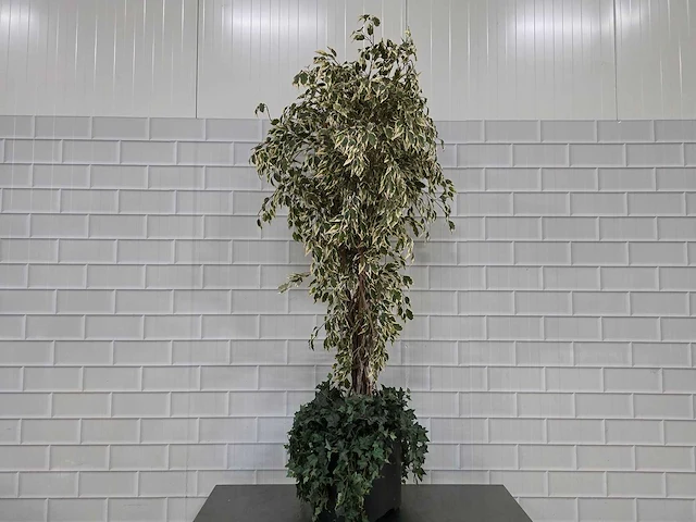 Kunstplant - afbeelding 1 van  3