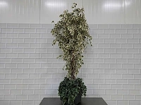Kunstplant
