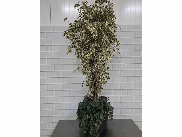 Kunstplant - afbeelding 2 van  3