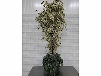 Kunstplant - afbeelding 2 van  3