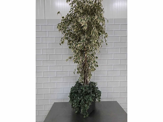 Kunstplant - afbeelding 3 van  3