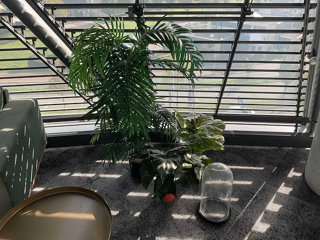 Kunstplanten (3x) - afbeelding 1 van  3