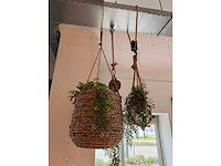 Kunstplanten (5x) - afbeelding 1 van  2