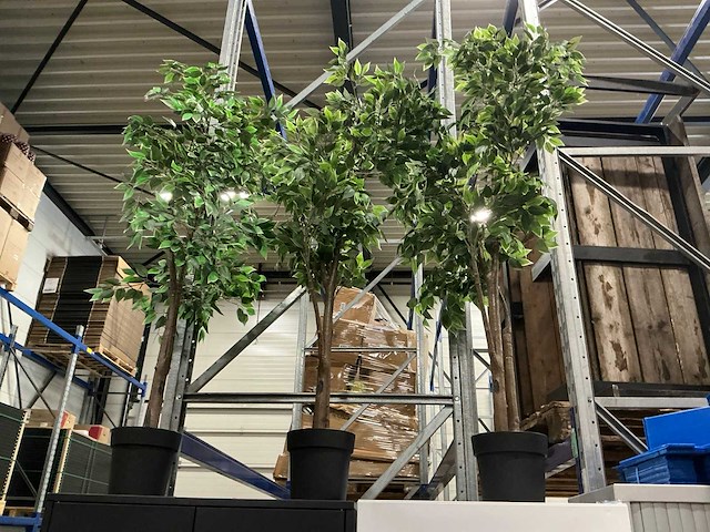 Kunstplanten circa h150cm (3x) - afbeelding 1 van  2