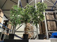 Kunstplanten circa h150cm (3x) - afbeelding 1 van  2