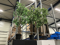 Kunstplanten circa h150cm (3x) - afbeelding 2 van  2