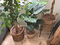 Kunstplanten & decoratiemateriaal