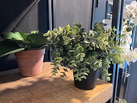 Kunstplanten en -bloemen - afbeelding 1 van  10