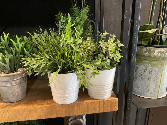 Kunstplanten en -bloemen - afbeelding 2 van  10