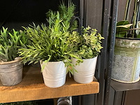 Kunstplanten en -bloemen - afbeelding 2 van  10