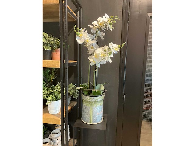Kunstplanten en -bloemen - afbeelding 5 van  10