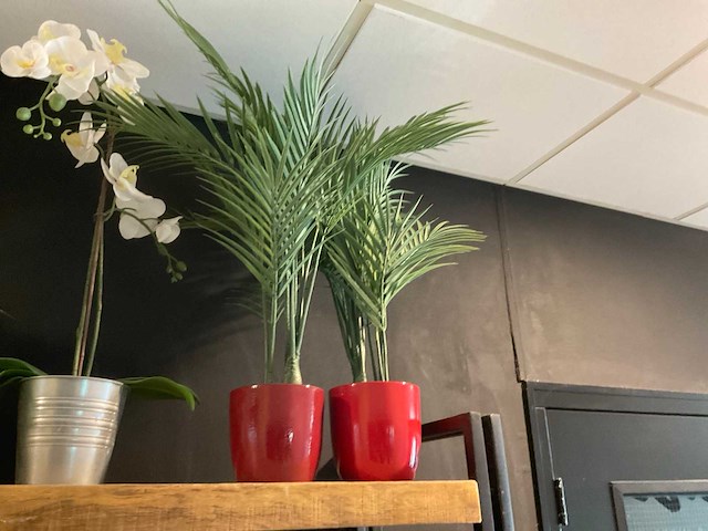 Kunstplanten en -bloemen - afbeelding 10 van  10