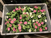 Kunstplanten en decoratie - afbeelding 9 van  9