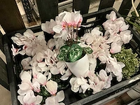 Kunstplanten en decoratie - afbeelding 2 van  9