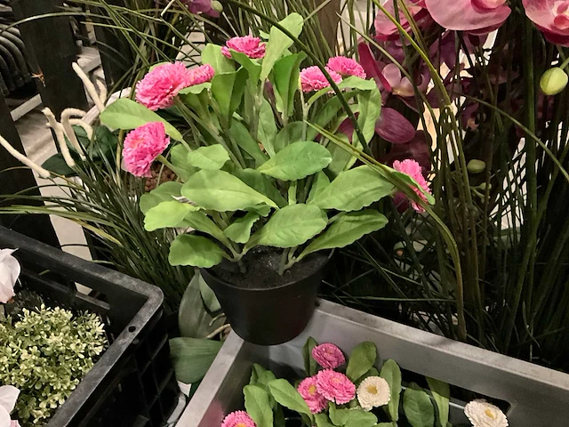 Kunstplanten en decoratie - afbeelding 3 van  9