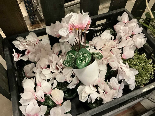 Kunstplanten en decoratie - afbeelding 4 van  9