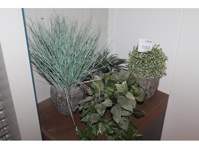 Kunstplanten en potten. - afbeelding 1 van  2