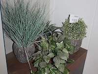Kunstplanten en potten. - afbeelding 2 van  2