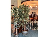 Kunstplanten in pot (2x) - afbeelding 1 van  3