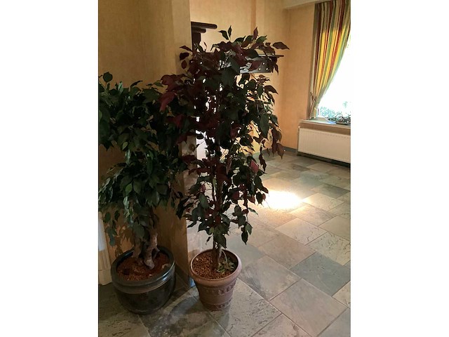 Kunstplanten in pot (2x) - afbeelding 4 van  6