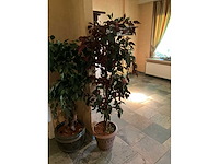 Kunstplanten in pot (2x) - afbeelding 4 van  6