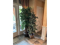 Kunstplanten in pot (2x) - afbeelding 1 van  1