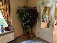 Kunstplanten in pot (2x) - afbeelding 1 van  2